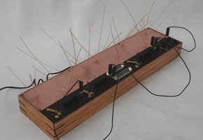 the expanded luminist