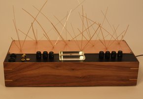 Luminist Garden